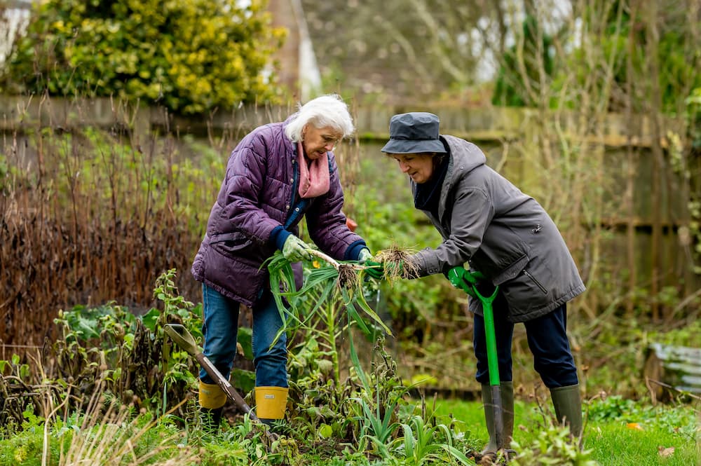 ancianas haciendo jardineria